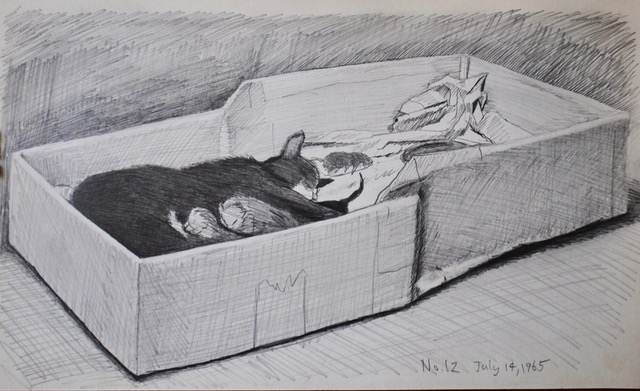 Mother Cat in a Box, Nursing Newborns, July 14, 1965, graphite, 6.5 x 10.5