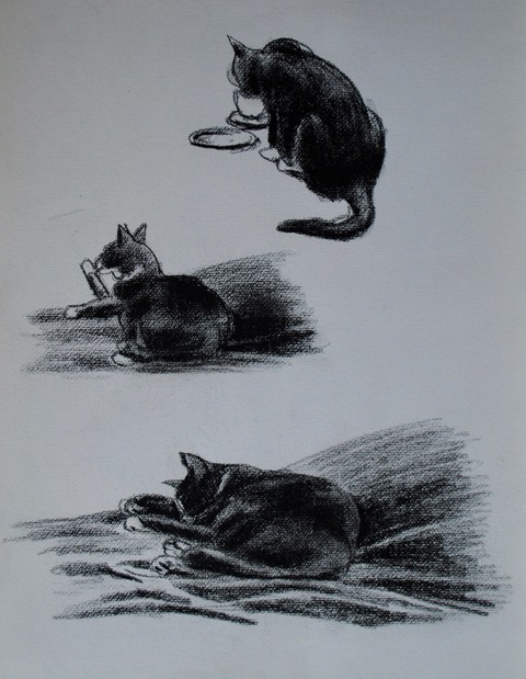 Cat Sipping, Licking, Napping, 1965, black chalk, 16 x 12