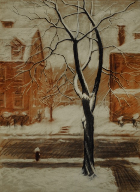 Tree in Winter on Clyde Street, 1965, pastel, 17.5 x 24.25