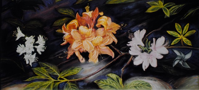 Pinwheels, 1983, pastel, 11x24