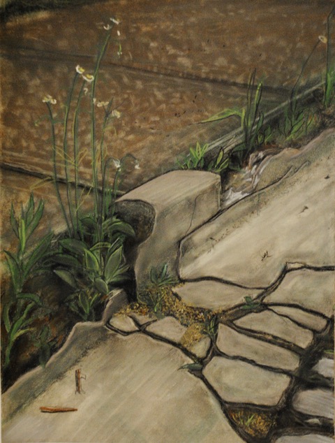 Corrupted Curb, 1962, pastel, 22.5 x 16.5